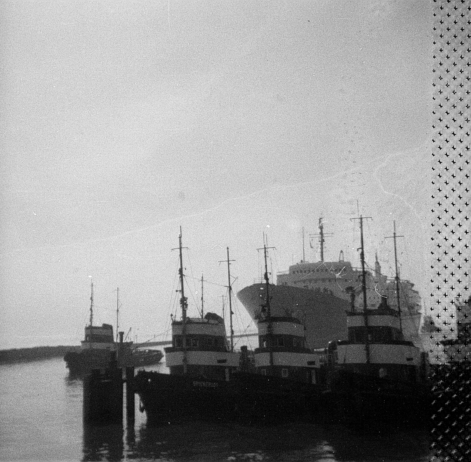 The ships OTTO HAHN and the tugboat Spiekeroog and other tugboats in port Emden. Black & White photo: Erwin Thomasius.