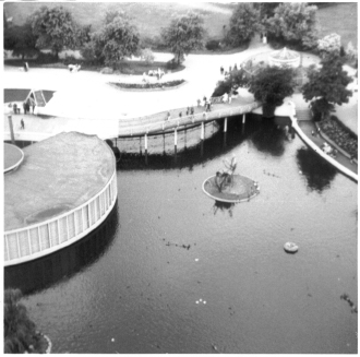 Photo von einem Turm auf den Rotterdamer Zoo. 1966.