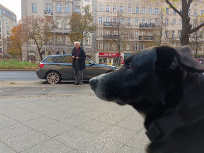 Farbfoto von Ralfs Hund Matschek, Erwin Thomasius und dem Geschäft für Gebrauchte Bücher SPAR BUCH. Im Oktober 2024. Fotograf: Ralf Splettstößer.