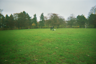 Farbfoto: Der Rasen im November des Jahres 2014 im Park Thomashöhe im Bezirk Neukölln in Berlin.