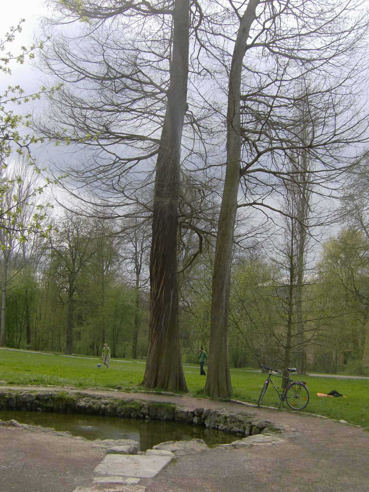 Farbfoto: Die künstlich gefasste Quelle der Leutra im Park an der Ilm in Weimar im April des Jahres 2012. Fotograf: Bernd Paepcke.